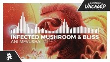 Infected Mushroom &amp; Bliss - Ani Mevushal
