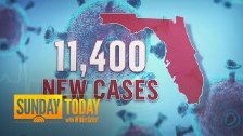 Florida Sets New Single-Day Record Of Over 11,400 ...