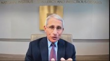 Fauci: Coronavirus vaccine possible by the end of ...