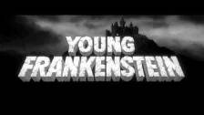 Theme song -- Young Frankenstein