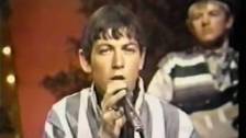 Eric Burdon and the Animals When I was You...