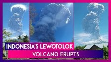 Indonesian volcano errupts