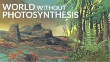 What Would The Earth Be Like Without Photosynthesi...