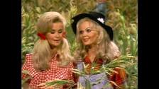 HEE HAW - All Time Favorites