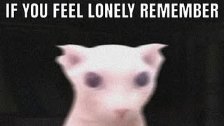 if you feel lonely