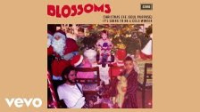 Blossoms - Christmas Eve (Soul Purpose) (Visualise...