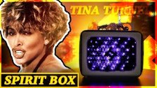 TINA TURNER Spirit Box - &ldquo;WE CHOSE THIS LIFE...