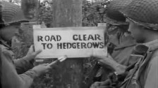 Road Clear to Hedgerows