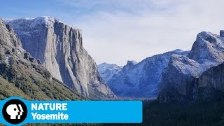 YOSEMITE on NATURE | Official Trailer | PBS