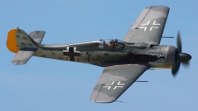Wings of the Luftwaffe: FW-190 W&uuml;rger