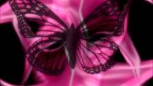 Chaka Khan ~ &#34; Papillon &#34; (AKA Hot Butterf...