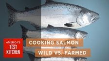 Science: How Wild Salmon Differs from Farmed Salmo...