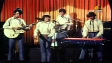 The Monkees - I&rsquo;m a believer