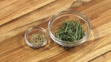 Science: Substituting Dried Herbs for Fresh