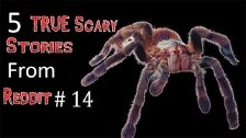 5 TRUE Scary Stories From Reddit # 14