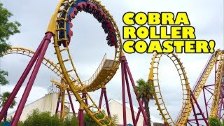Cobra Boomerang Roller Coaster Front Seat POV Wali...