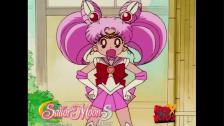 Sailor Moon S - Usagi and Chibiusa Tag Team Duo (V...