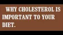 Why cholesterol is important to your diet