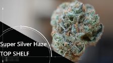Weed Review-SUPER SILVER HAZE by Top Shelf (Legal ...
