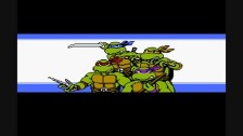 Teenage Mutant Ninja Turtles 3 + thirty something ...