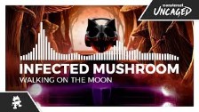 Infected Mushroom - Walking On The Moon