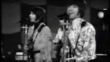 Tremeloes - HERE COMES MY BABY - 1967