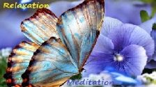 BUTTERFLIES for Peace and Positive Uplifting Trans...