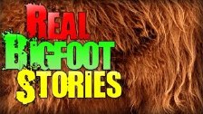 7 REAL Bigfoot Sightings