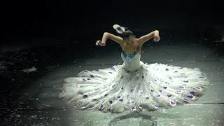 Yang Liping - Peacock dance