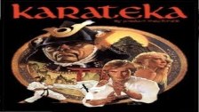 Karateka Gameplay (NES)