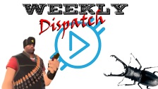 Weekly Dispatch 3.4.19