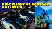 Rode Flight of Passage After Hours Event - Animal ...