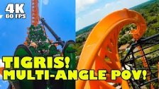 Tigris Roller Coaster Busch Gardens Tampa!