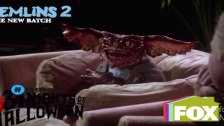 Gremlins 2: The New Batch Funny Moments - The Brai...