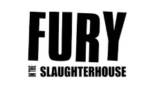 Fury In The Slaughterhouse: Time To Wonder